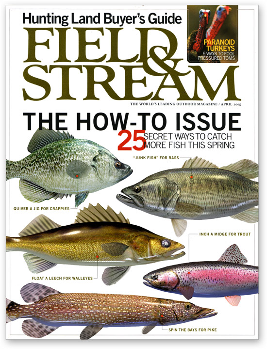 field_and_stream_cheap_magazine_subscription